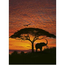 პანორამული შპალერი Komar 4-501 African Sunset 194X270 სმ