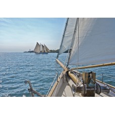 პანორამული შპალერი Komar 8-526 Sailing 368X254 სმ