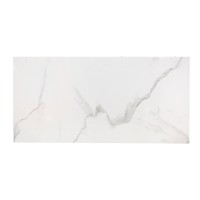 კედლის ფილა Selena White 30X60