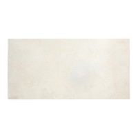 კედლის ფილა Delsa Beige Light Matt 30X60
