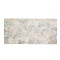 კედლის ფილა Delsa Beige Dark Matt 30X60