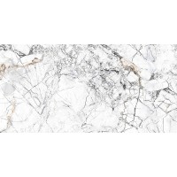 კერამო გრანიტი ELEGANT WHITE 60X120