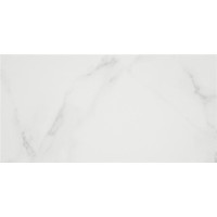 კედლის ფილა PURITY WHITE MT 25X50