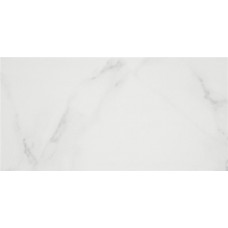 კედლის ფილა PURITY WHITE MT 25X50