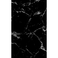 კედლის PVC პანელი BlackWhite ზომა 1,22*2,8 სმ