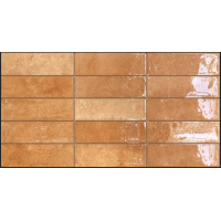 კედლის ფილა PONTO COTTO 31,6x60