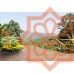 იატაკის ფილა ARDESIA EXT MIX 45X45