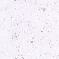 იატაკის ფილა PLANET WHITE 45X45