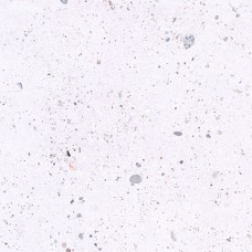 იატაკის ფილა PLANET WHITE 45X45