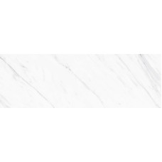 კედლის ფილა MASSA MATE 20X60